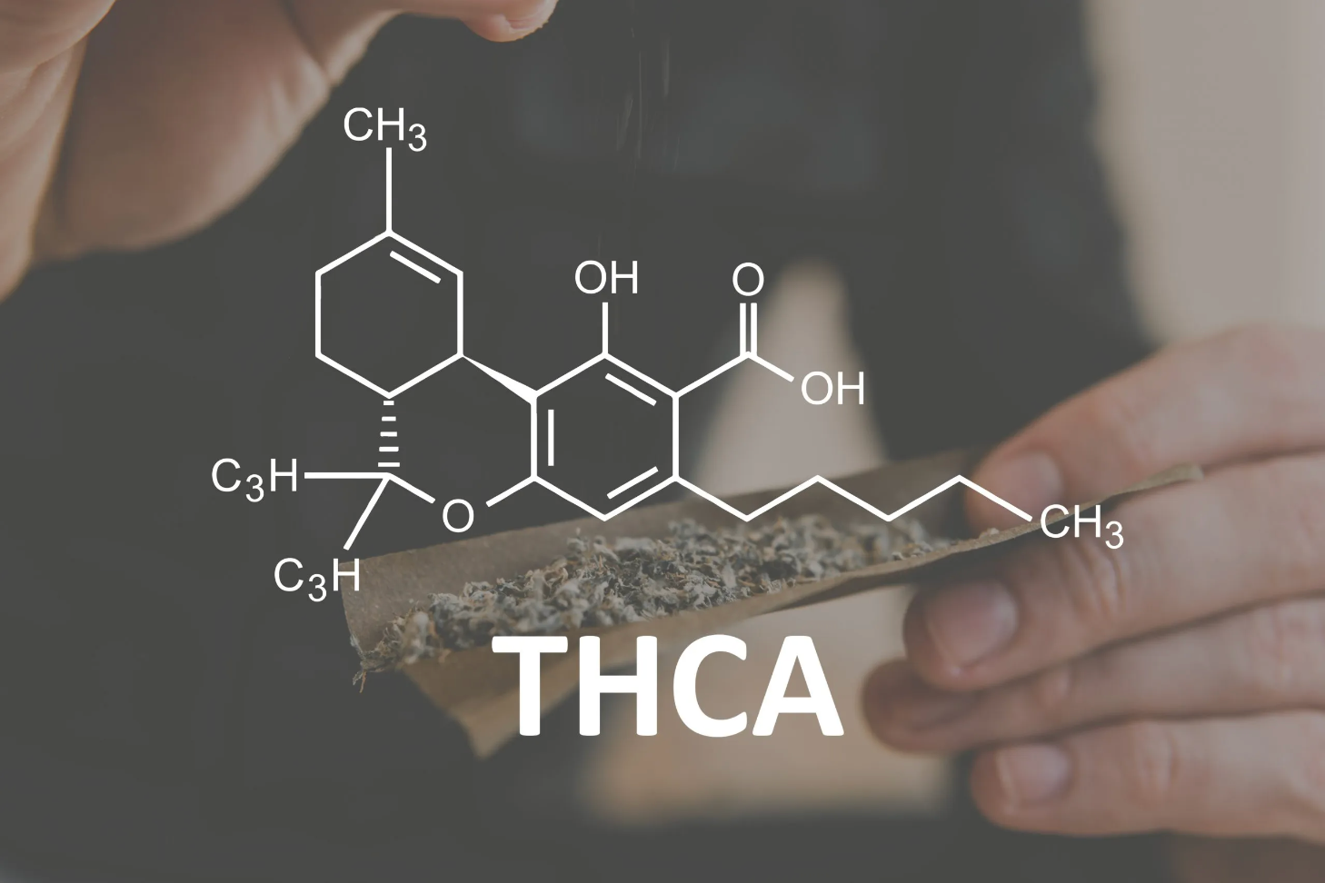 What is THCA?