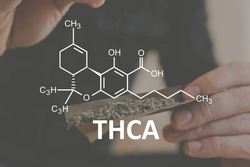 Image of What is THCA?